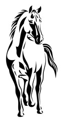 Vector image of a galloping horse