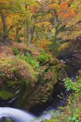 Aira Force at Autumn Ullswater Lake District Cumbria England