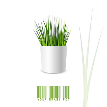 Green Grass Pot In Minimal Style And Colors Isolated On White Background. Vector Illustration Of A Small Office Or Indoor Plant With White Pot And Shadow.