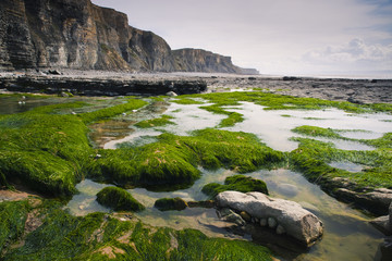 Cliffs and beach Dunraven Bay Glamorgan Wales 