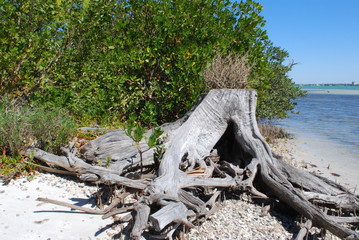 Longboat Key Sarasota, Florida