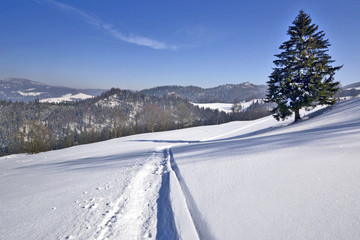 Fototapeta na wymiar Winter landscape in Pieniny mountains, Poland