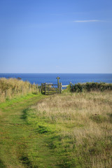 Fototapeta na wymiar Footpath leading to stile, Marloes Bay Pembrokeshire Wales.