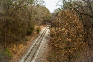 Railroad tracks in woods