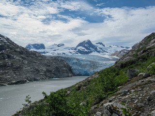 Naklejka na ściany i meble Nellie Juan Glacier, Alaska