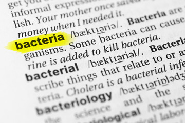 Highlighted English word "bacteria" and its definition in the dictionary