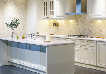 Modern, bright, clean kitchen interior with stainless steel appliances in a luxury apartment.