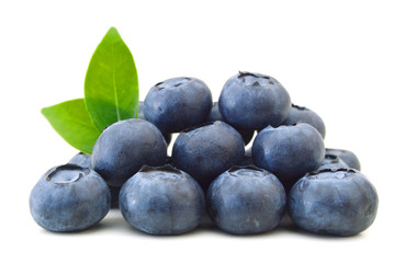Blueberries on white background