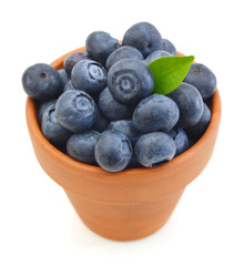  bowl of fresh blueberries on white background