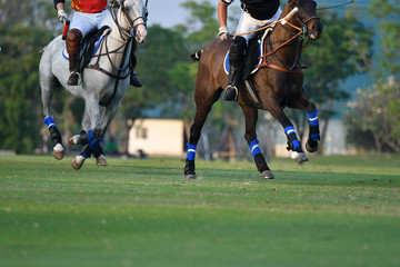 Polo Player battle in match