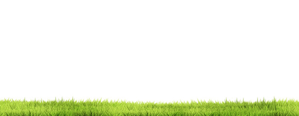 green grass blades of grass green lawn meadow 3d rendering