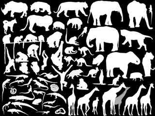 isolated south animals white silhouettes