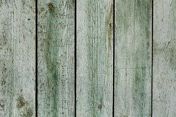 Vintage mint green old wooden planks wall background. Retro style filtered photo