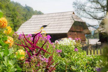 altes Bauernhaus in den Alpen
