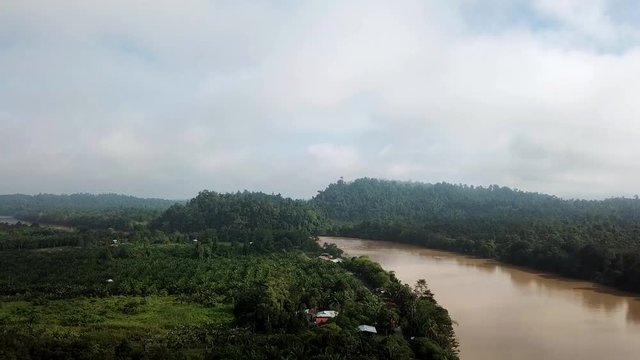 Aerial View of Tropical River