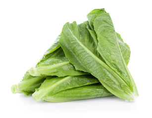 fresh cos lettuce isolated on white background