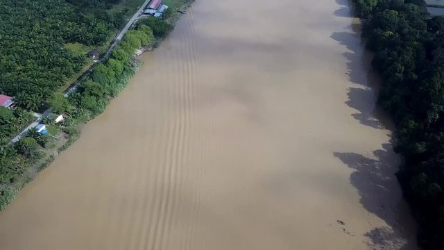 Aerial View of Tropical River