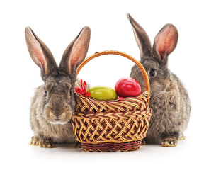 Fototapeta na wymiar Rabbits and Easter basket.
