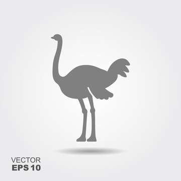 Ostrich vector icon