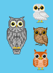 A set of four pixel owls.