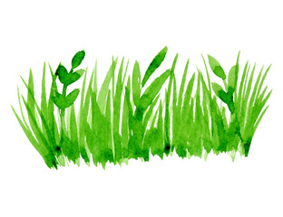 Vector green watercolor natural, organic, bio, eco label and shape, grass on white background. Hand drawn stain