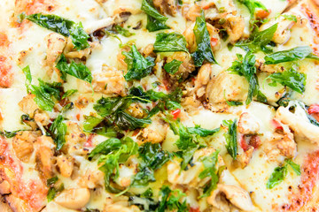 Seafood basil italian pizza with top view on wood table and close up view.