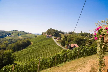  Weinberge auf der südsteirischen Weinstraße mit Buschenschank und Klapotetz © st1909
