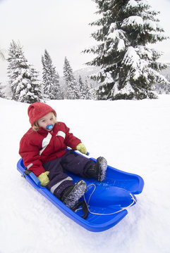 Child cute girl sitting on baby bob sled in winter forest
