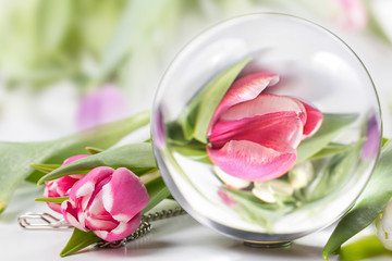 Greeting card with tulips and reflection in a glass bowl.