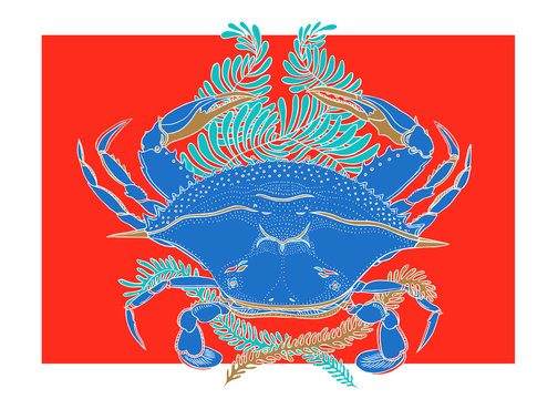 Blue Crab