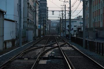 Fototapeta premium 早朝の線路 嵐電