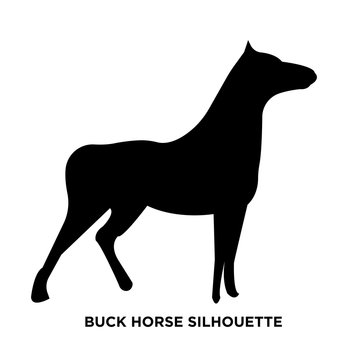 buck horse silhouette on white background