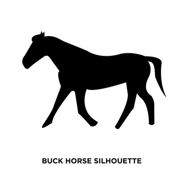 buck horse silhouette on white background