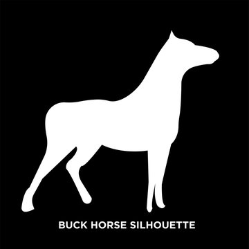 white buck horse silhouette on black background