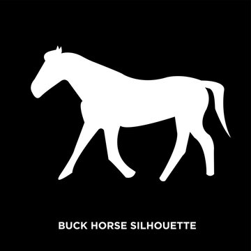 white buck horse silhouette on black background