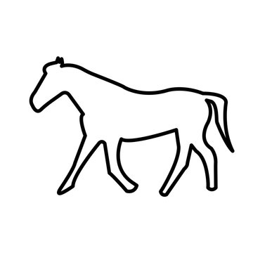 buck horse silhouette outline on white background