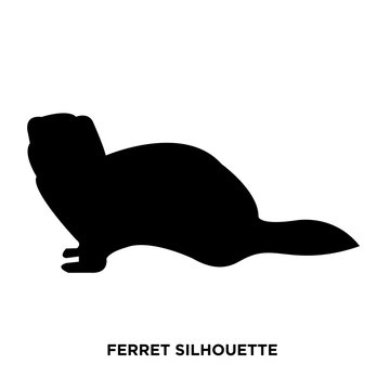 Ferret Silhouette On White Background