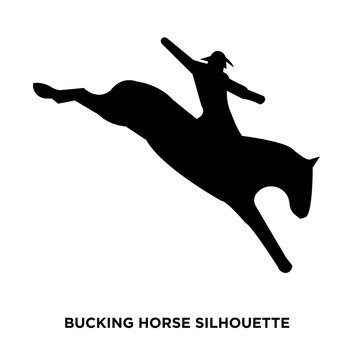 bucking horse silhouette on white background