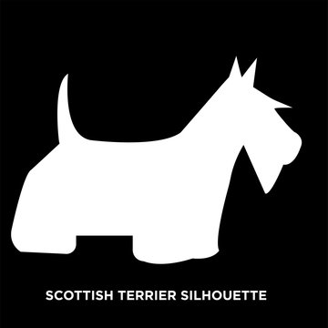 white scottish terrier silhouette on black background
