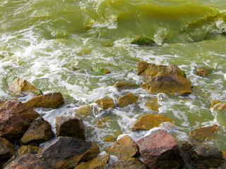 Stones in the murky muddy brown green shallow water of the lake surf