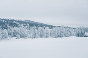 A beautiful winter landscape with snowy trees and mountains in a distance in central Norway.