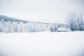 A beautiful winter landscape with snowy trees and mountains in a distance in central Norway.