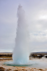 Geysir geothermal area in South Iceland