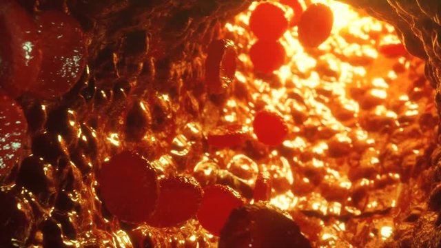 Red blood cells in vein or artery, flow inside inside a living organism. Science and medicine concept. Photorealistic 4k 3D animation