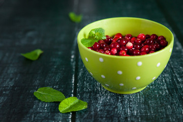 Juicy ingredients: fresh cranberries in a bowl, mint