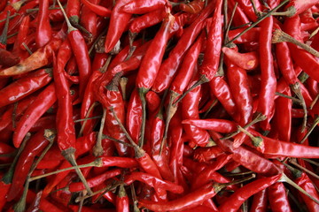 red peppers hot chili dried 