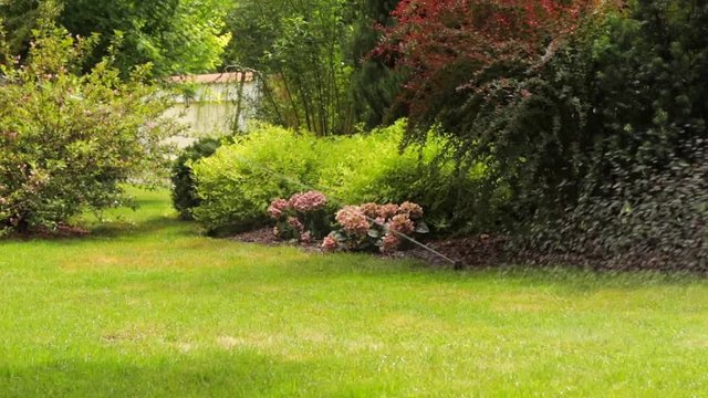 Working lawn watering system in the backyard