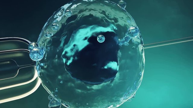 Artificial insemination in a scientific laboratory under a close-up view microscope. Fertilization of an egg cell, ovum, ovule. Concept origin of a new organism, life. 4K 3D animation