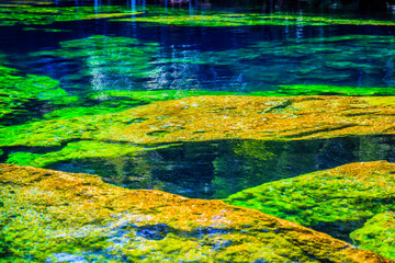 Пещера голубого озера с крупными цветными камнями в лесу. Сенот Мексика