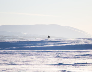 Beautiful minimalist landscape of winter in central Norway. Clear scenery in sunny day.